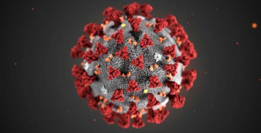 coronavirus