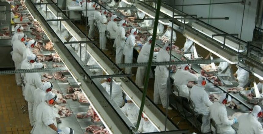 Trabalhadores em frigorífico (Foto: MB Comunicação/Divulgação)